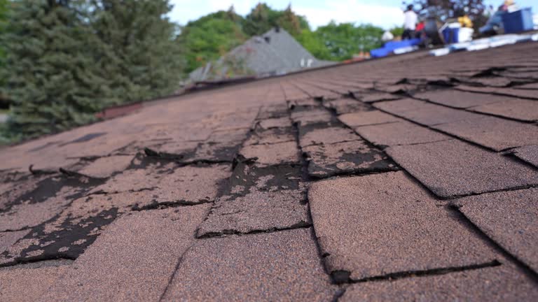 Best Roof Leak Repair  in West Milton, OH